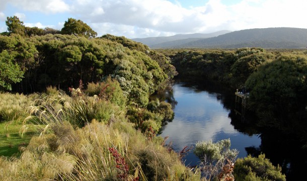 FRESHWATER2 stewart island 2005 12 23 66