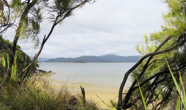 North Arm (Rakiura Great Walk) - Paterson Inlet, Stewart Island