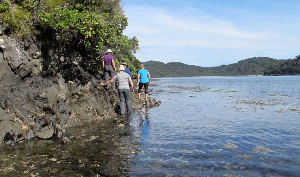 RAKIURA 3DAY IMG 7056