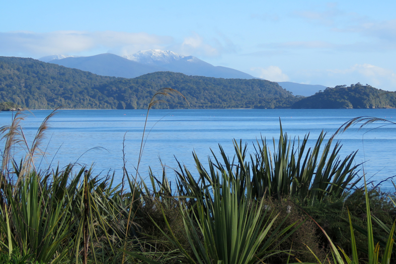 Stewart Island Weather Information » Ruggedy Range™
